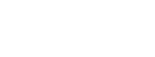 לוגו חברת pyronix